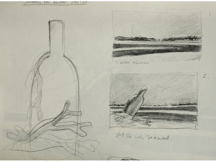 Pencil sketch – still life with seaweed part 2