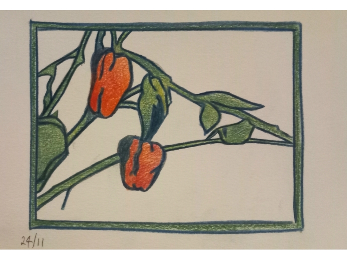 red peppers, bryan harford, coloured pencil,