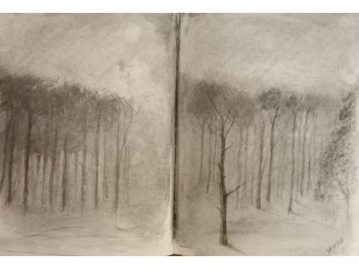 nocturnal, woodlands, charcoal on paper, bryan harford